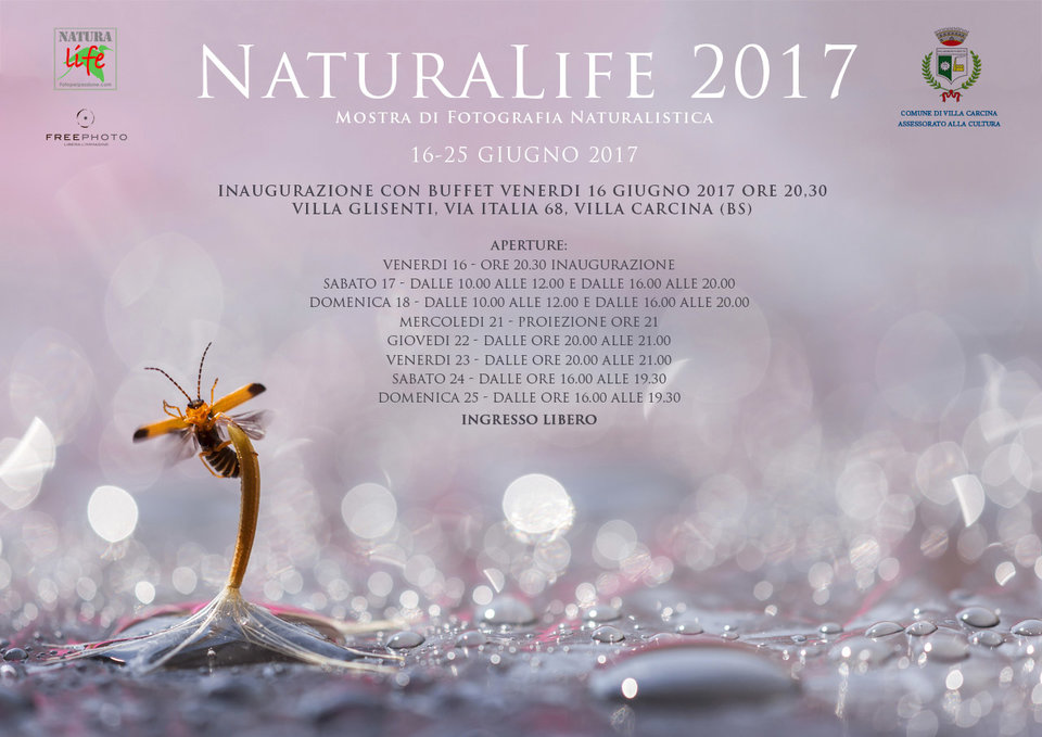 naturalife 2017