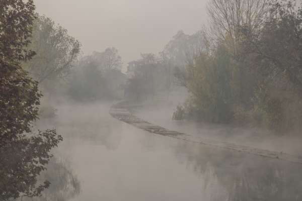 05 Nebbia 2017 Paracchini