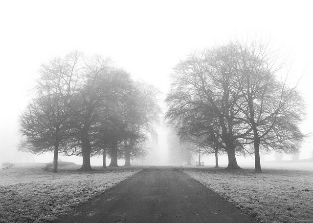 nebbia