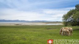 laribeppe-patagonia