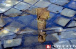 AngeloMontagnoli02