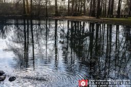 beppelari-parco