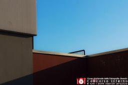 RossanaPellegrino-muri2