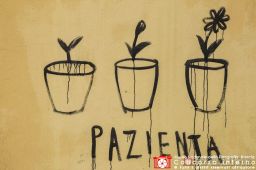 michelelancellotti-pazienta