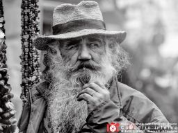 alessandro-_bacchetti-barba-dautore