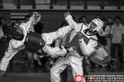 laribeppe-colpotaekwondo