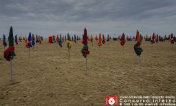 AngeloMontagnoli02