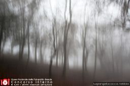 luigiangelococca-nebbia