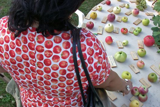 vincitrice ultimo concorso interno