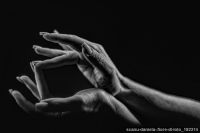 scanu-daniela-.fiore-di-loto_182214