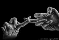 scanu-daniela-.legame_024629