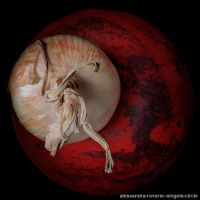 alessandra-roversi--singola-circle