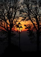 katiafrancio-luce_che_illumina