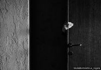 GiuliaBertoletti-La_regola