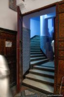 robertoserra-fez