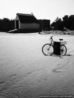 alessandra-roversi--velo-de-sable
