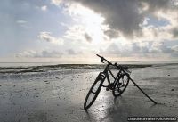 claudiacavalleri-bicicletta3