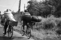 luigiserena-deliverycubano