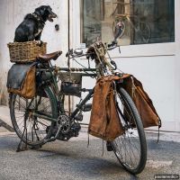 paolamedici-