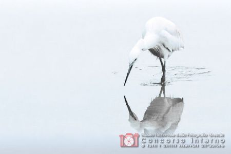 riflessi_2017-1_Anna_Ferrari