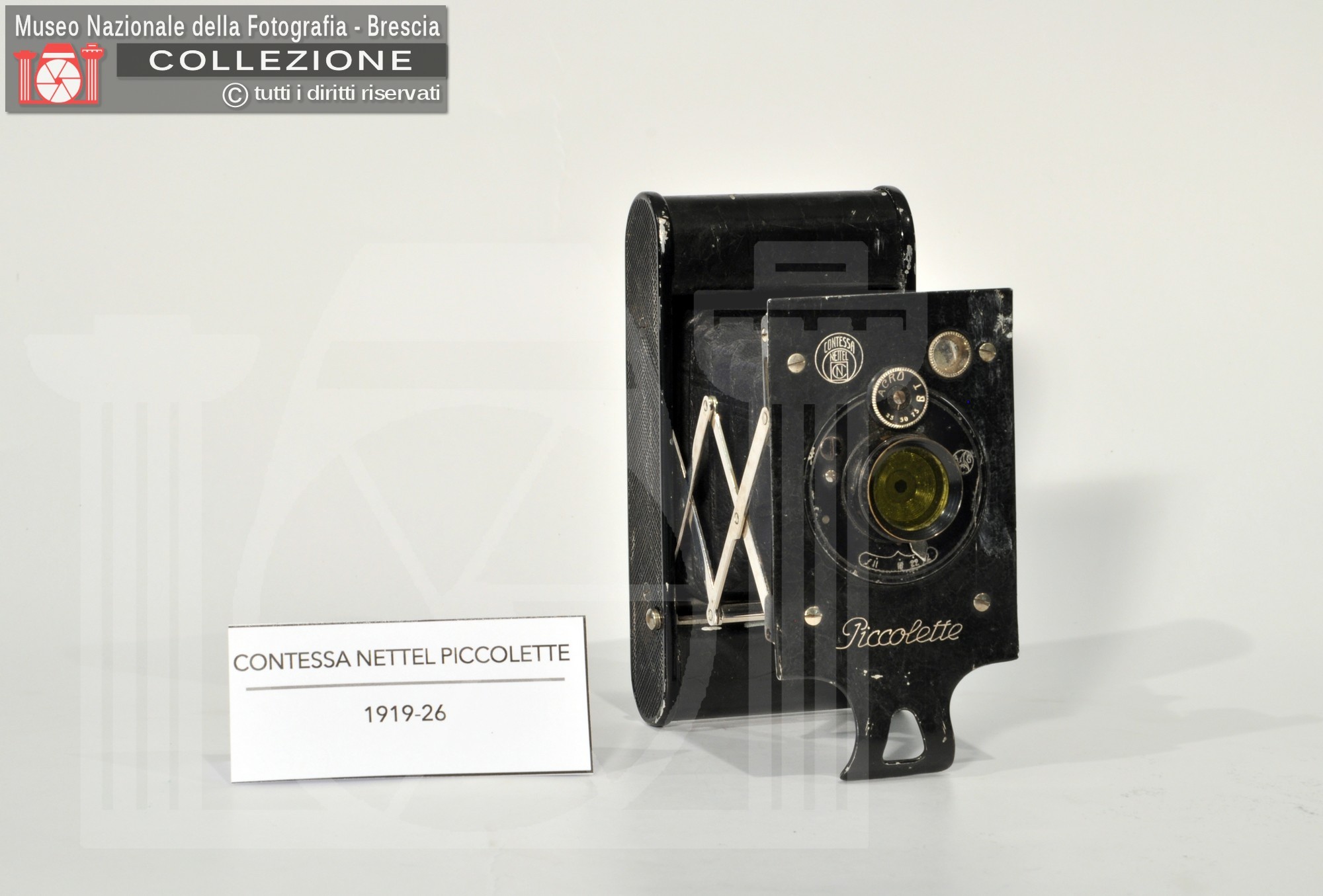 Piccolette Contessa