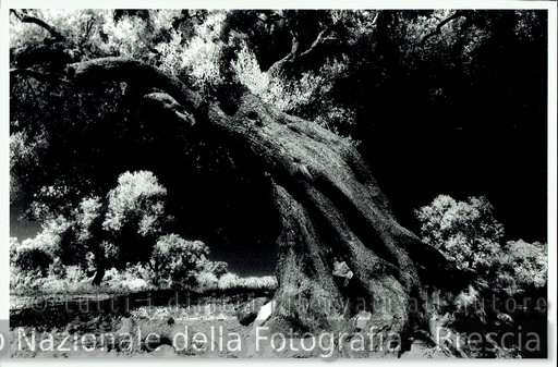 scansione 7