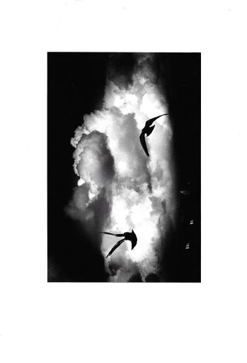 Emozioni di luce