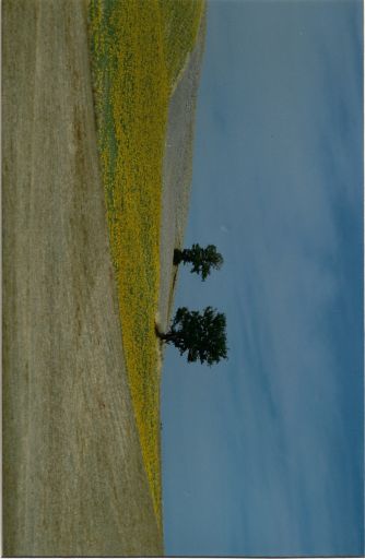 Dalla Mostra: La mia Toscana