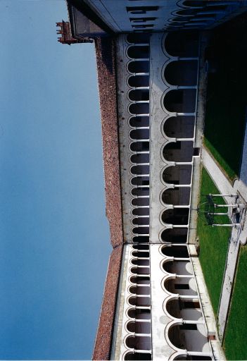 Anonimo