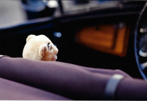 Il navigatore Solitario