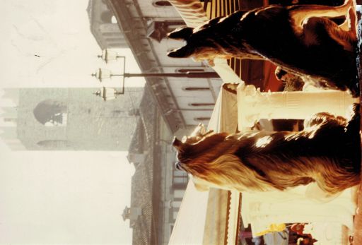 Ranza Bortolo