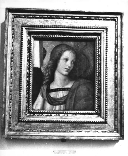Testa di Angelo