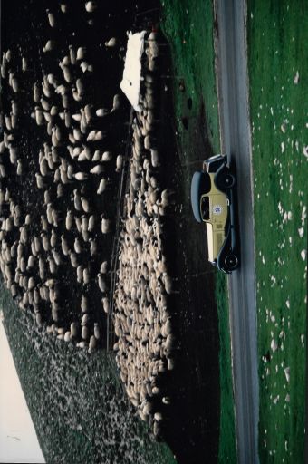 Mille Miglia.