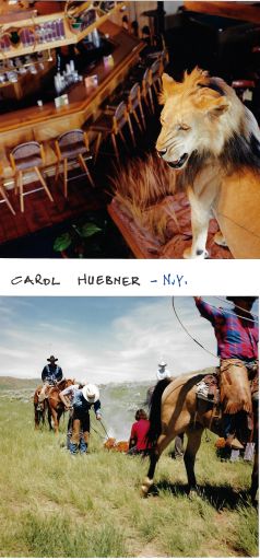 Huebner Carol