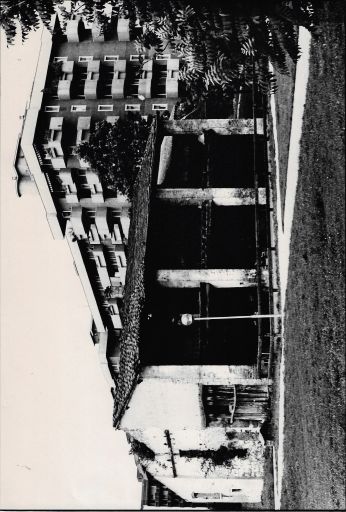 Brunelli Enio