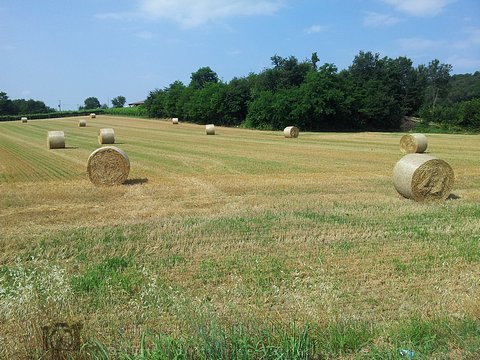 Paesaggi