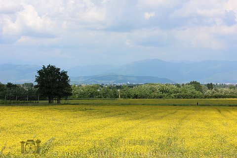 Paesaggi
