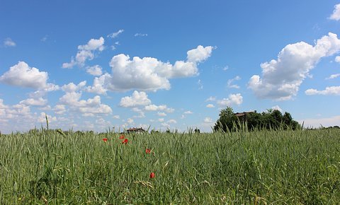 Paesaggi
