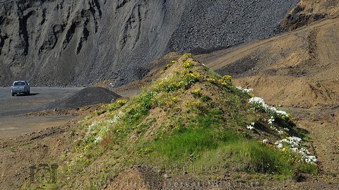 Paesaggi