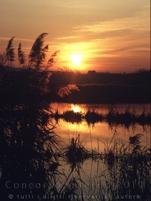Paesaggi