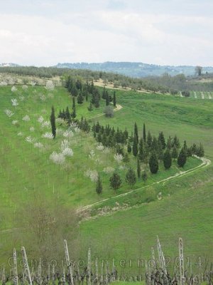 Paesaggi