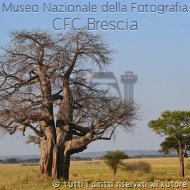 Paesaggi