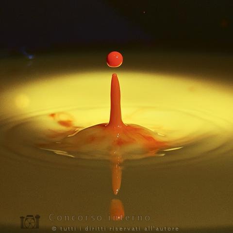RinaldoBellini-Goccia