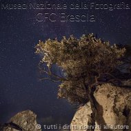 NataliaELenaMassi-L-Albero