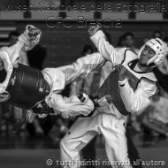 Beppelari-Taekwondo