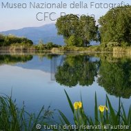 AnnaRocca-Naturaallospecchio