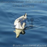 MonicaBerardi-CoppiaRiflessiva