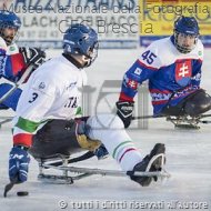RosannaViapiana-ParaIceHockey1