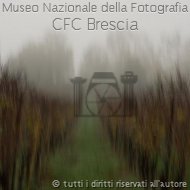 Rossella_giacolemmi-03