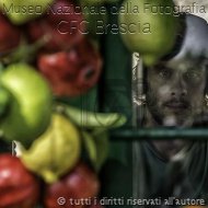 Alessandro-Bacchetti_frutta_della_passione